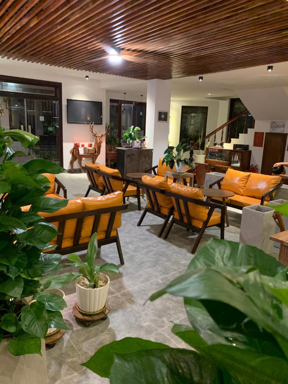 Communal lounge/ TV room