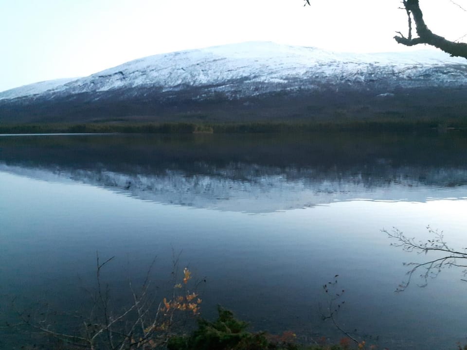 Lake view