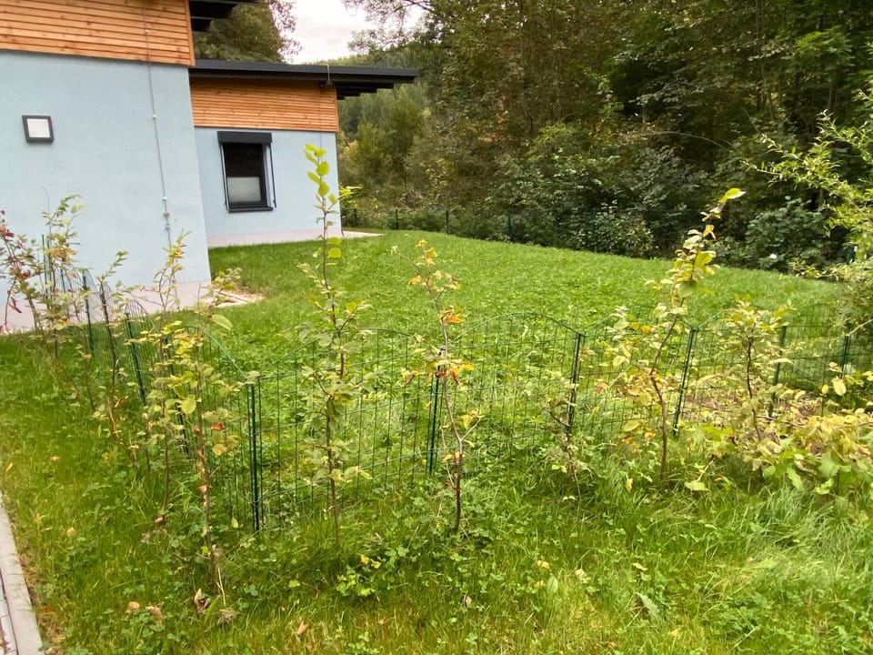 Property building, Natural landscape, Garden, Garden view