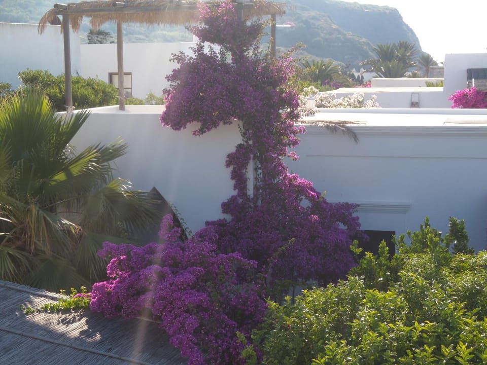 Natural landscape, Garden
