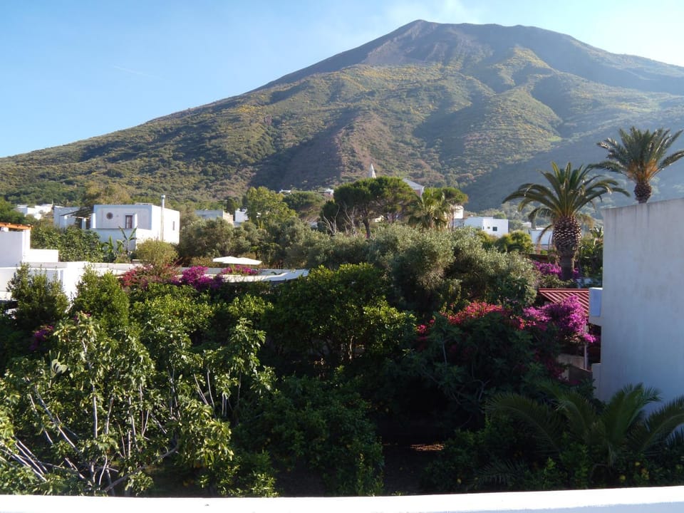 Natural landscape, Inner courtyard view