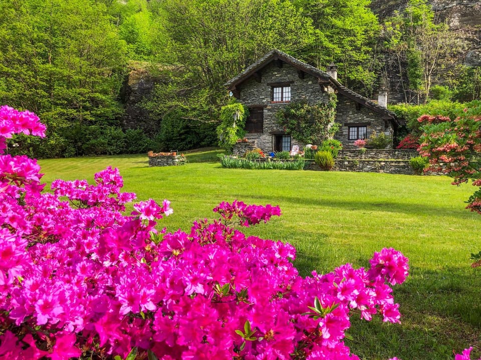 Property building, Garden