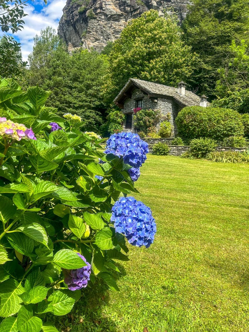 Property building, Garden