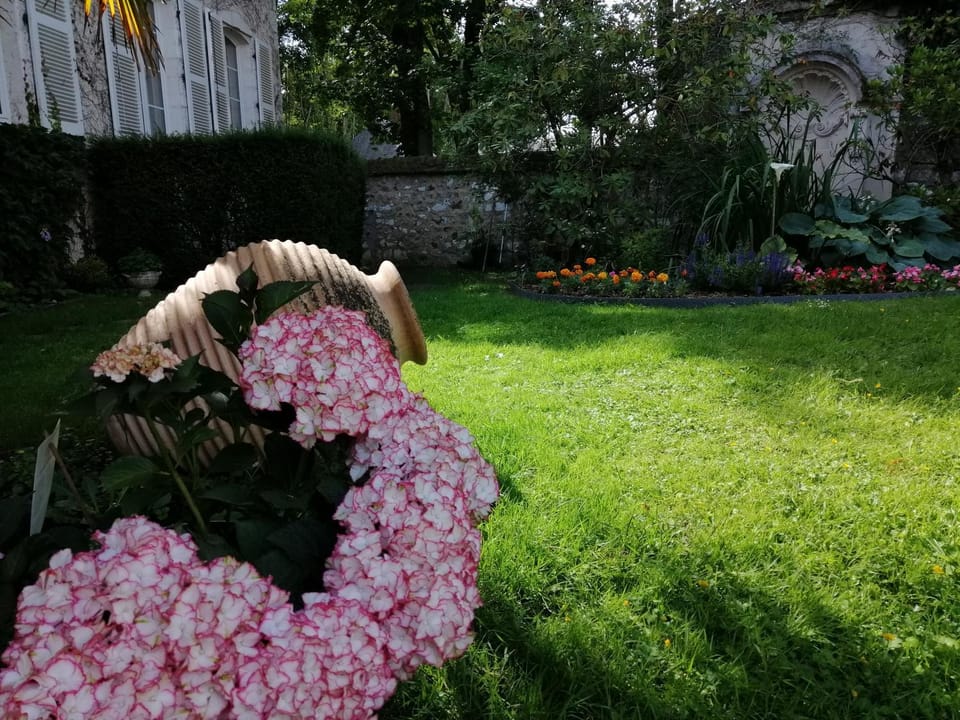 Garden view