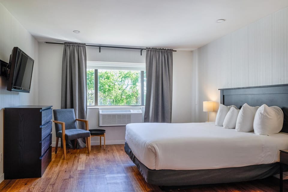 Bed, Photo of the whole room, Seating area, Bedroom