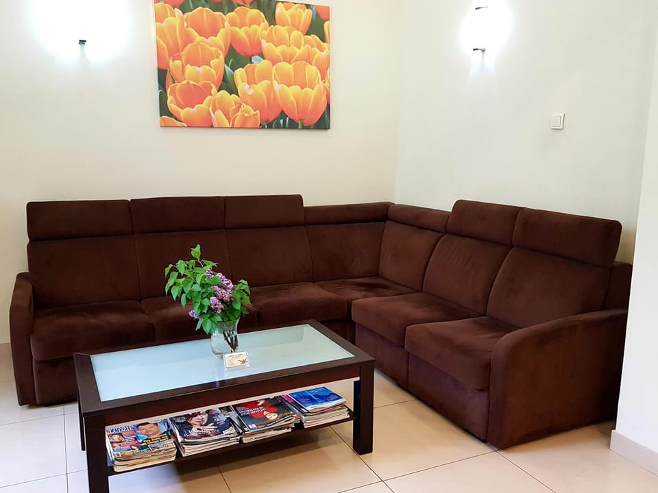 Living room, Lobby or reception, Seating area