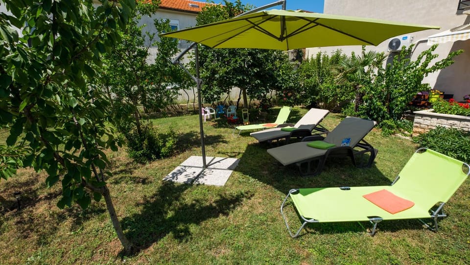 Garden, Garden view, sunbed