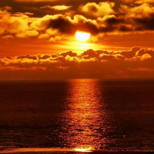 Fenêtre sur mer Apartment in Le Portel