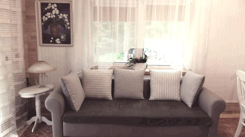 Poilsis gamtoje su visais patogumais House in Lithuania