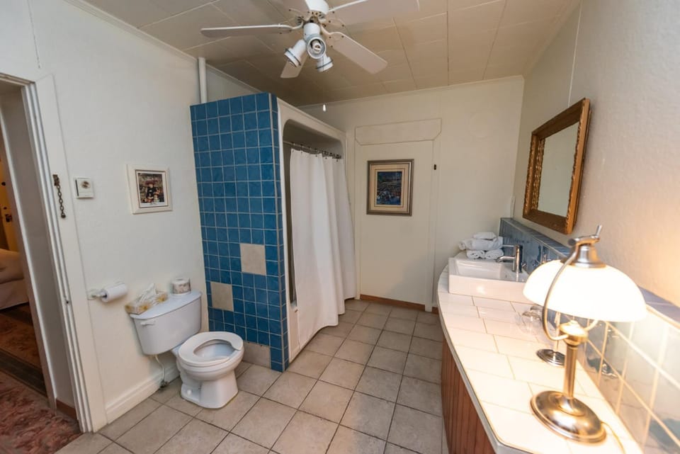 Shower, Toilet