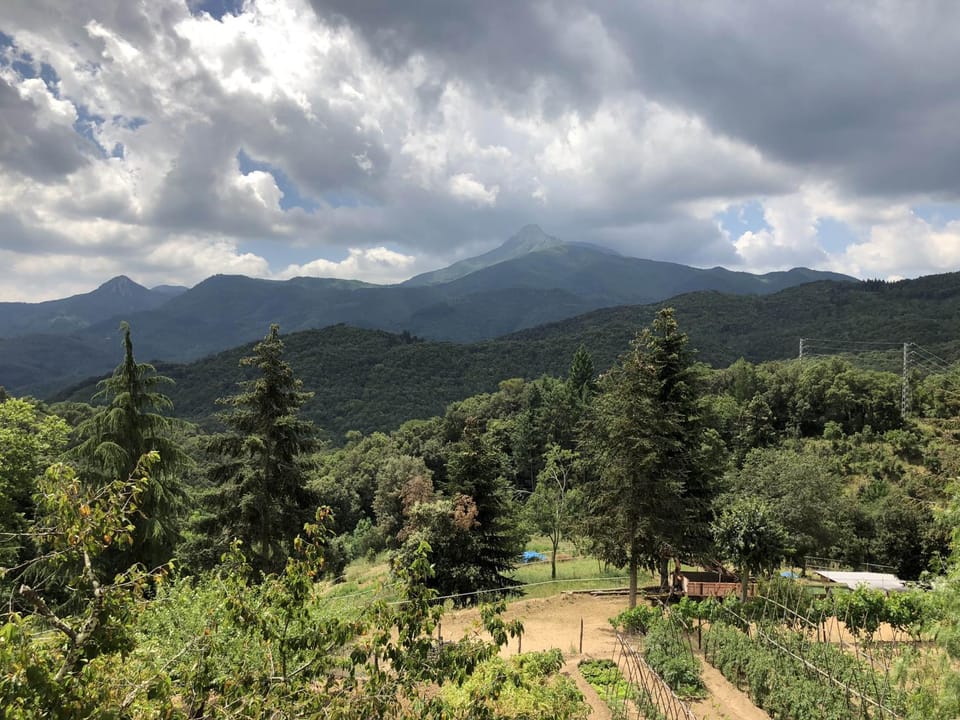 View (from property/room)