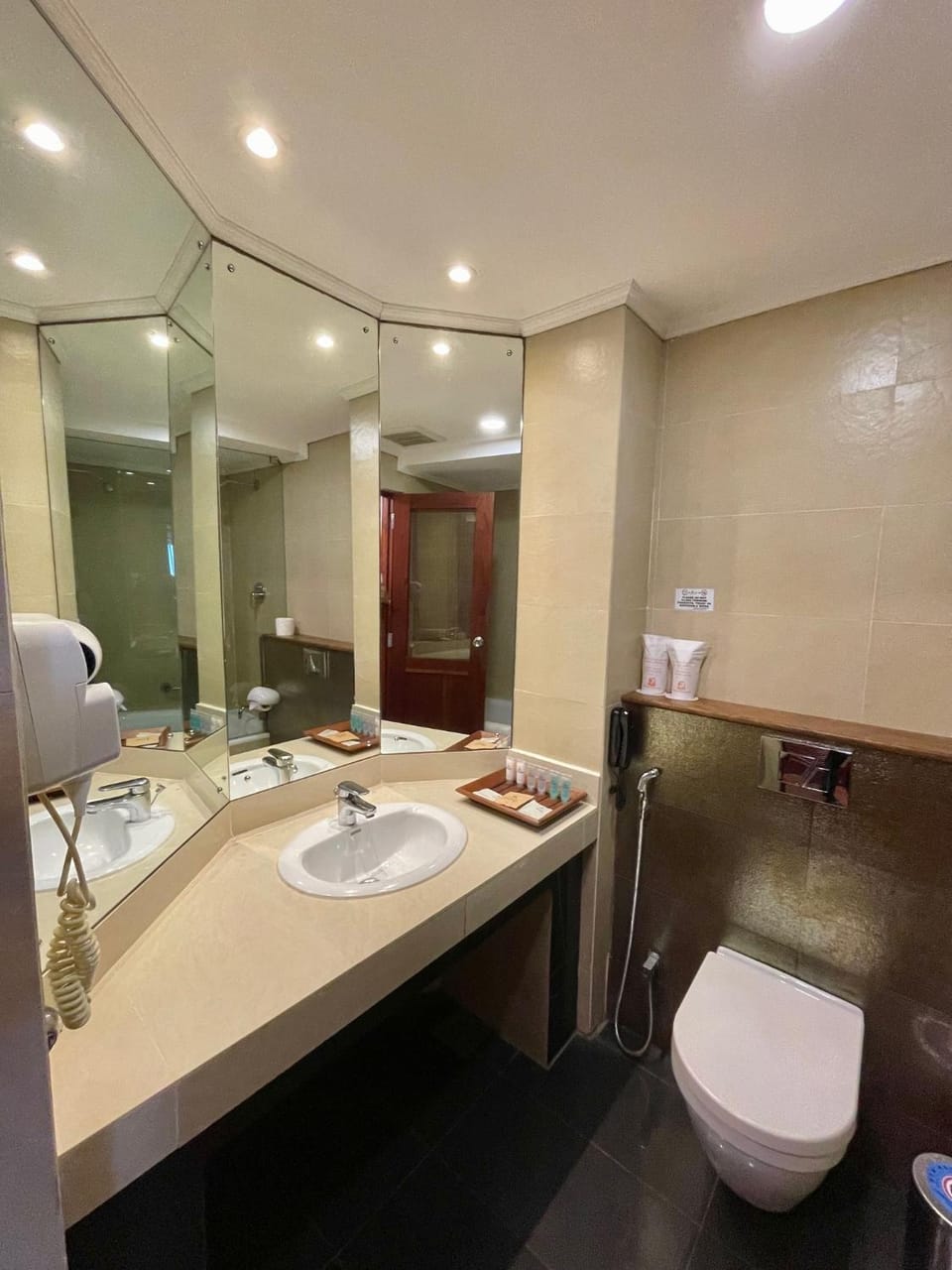 Toilet, Bathroom, hair dryier