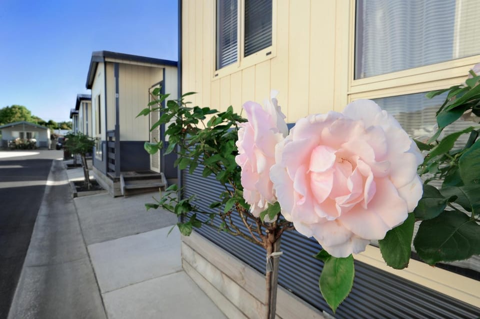 Spring, Natural landscape, Garden, On site