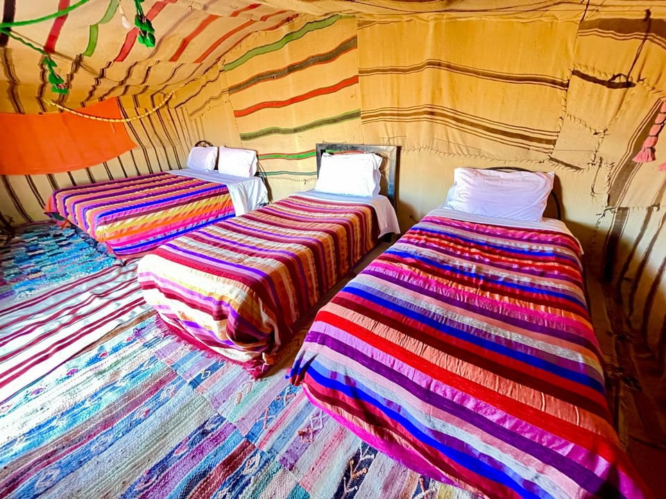 Bed, Photo of the whole room, Bedroom, bunk bed