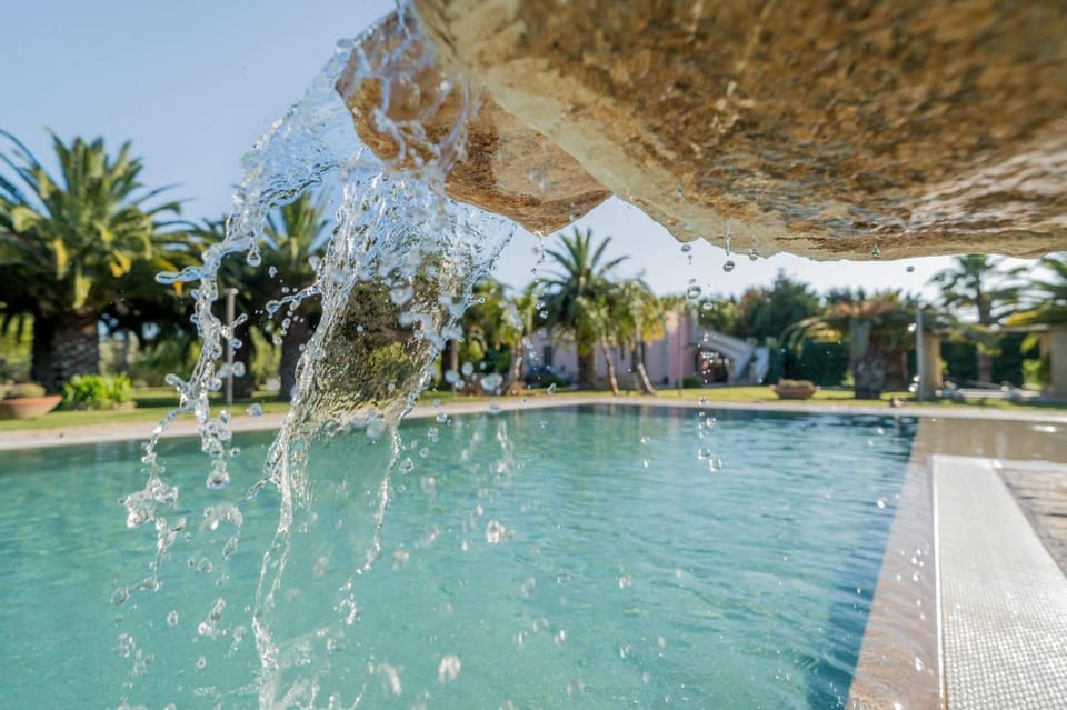 Natural landscape, Garden, Garden view, Pool view, Swimming pool