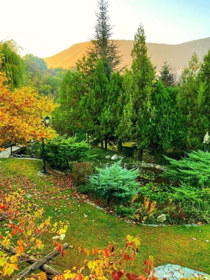Tzivaeri Bed and Breakfast in Decentralized Administration of Macedonia and Thrace