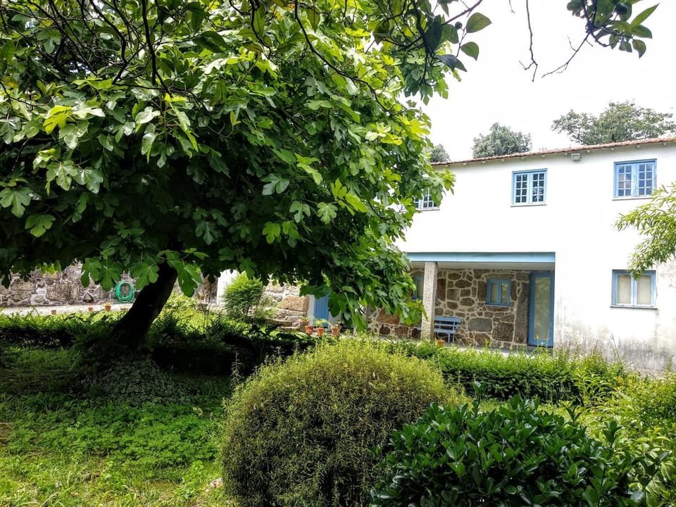 Spring, Garden, Garden view