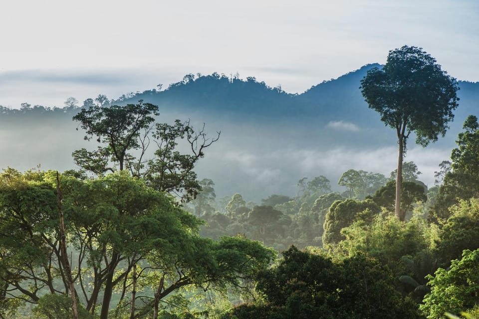 Natural landscape