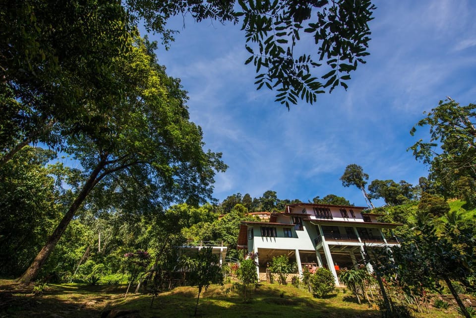 View (from property/room), Other, On site, Garden view