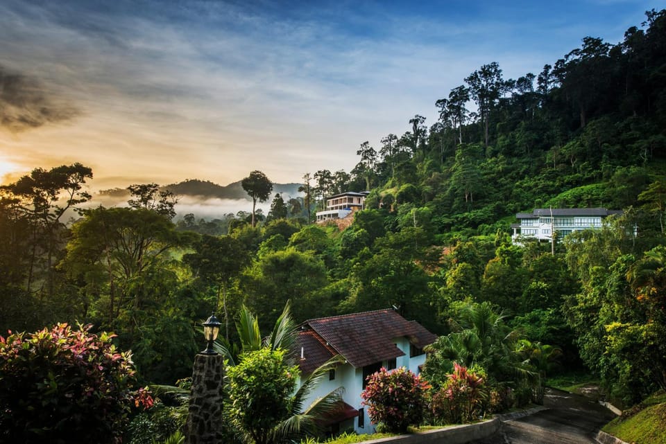 Neighbourhood, Sunrise