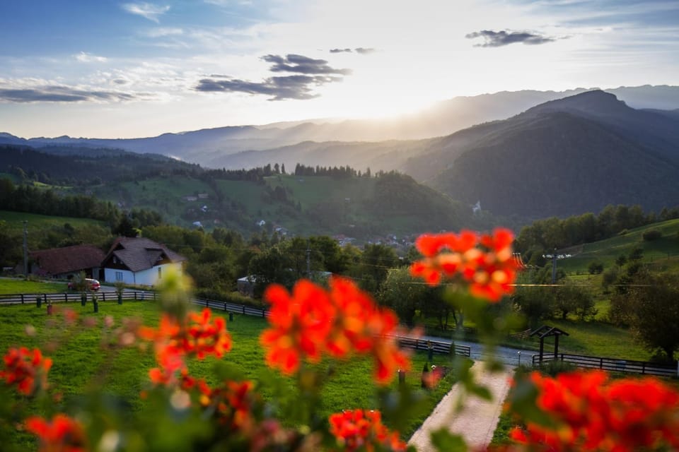 Bran Monte Crai Chalet Bed and Breakfast in Bran
