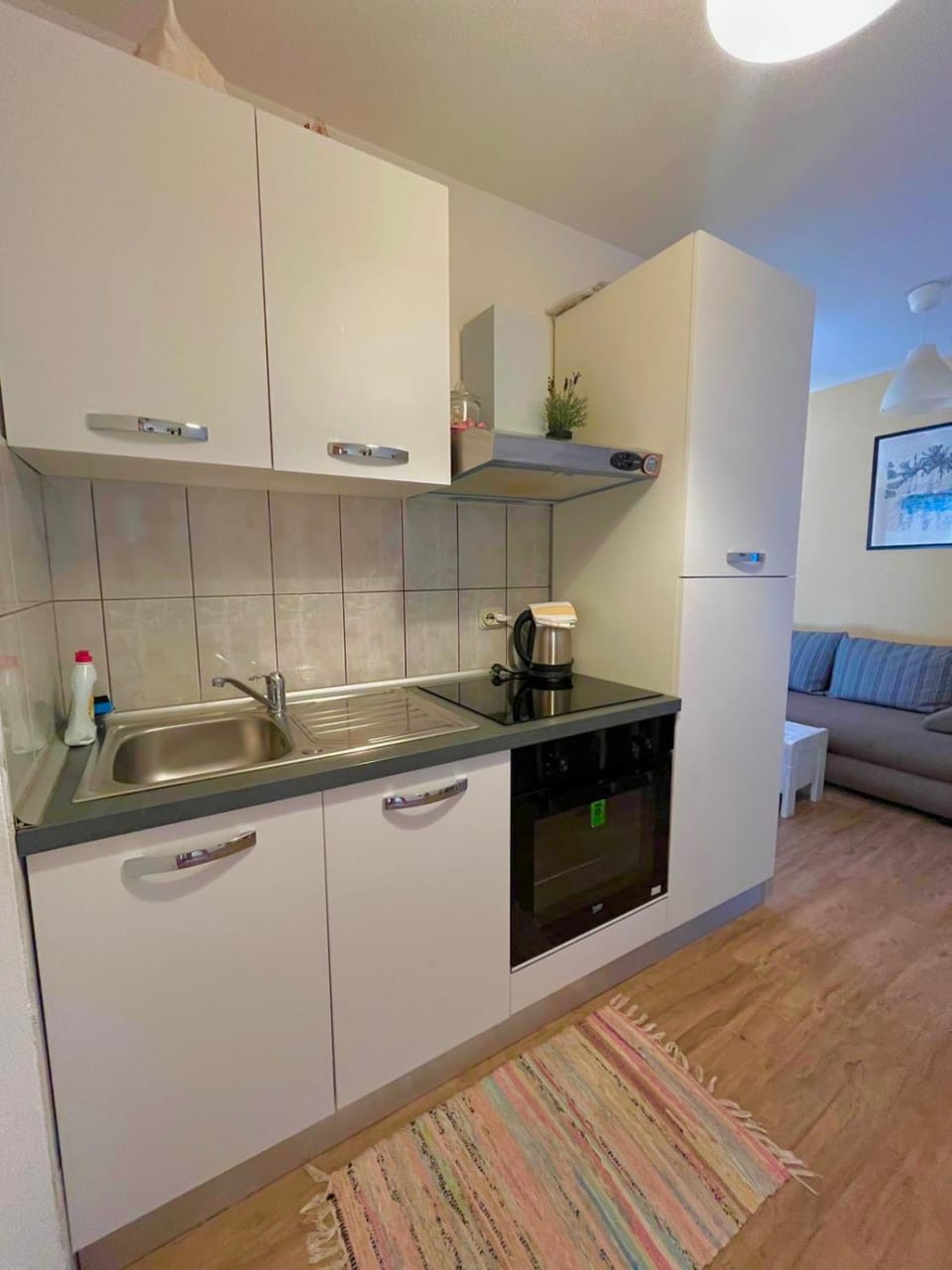 Villa Anita Apartment in Dubrovnik-Neretva County