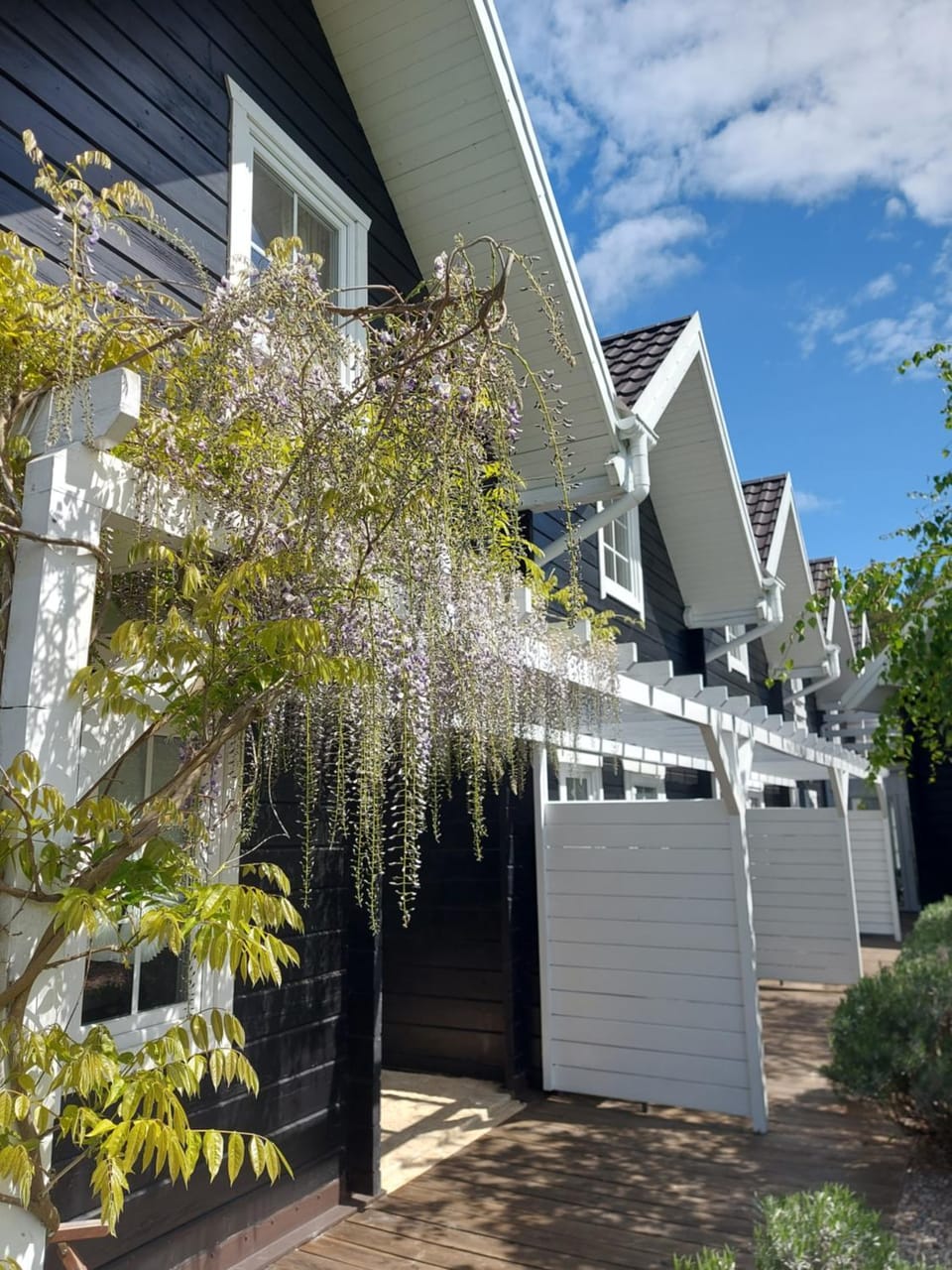 Property building, Day, Garden, Garden view