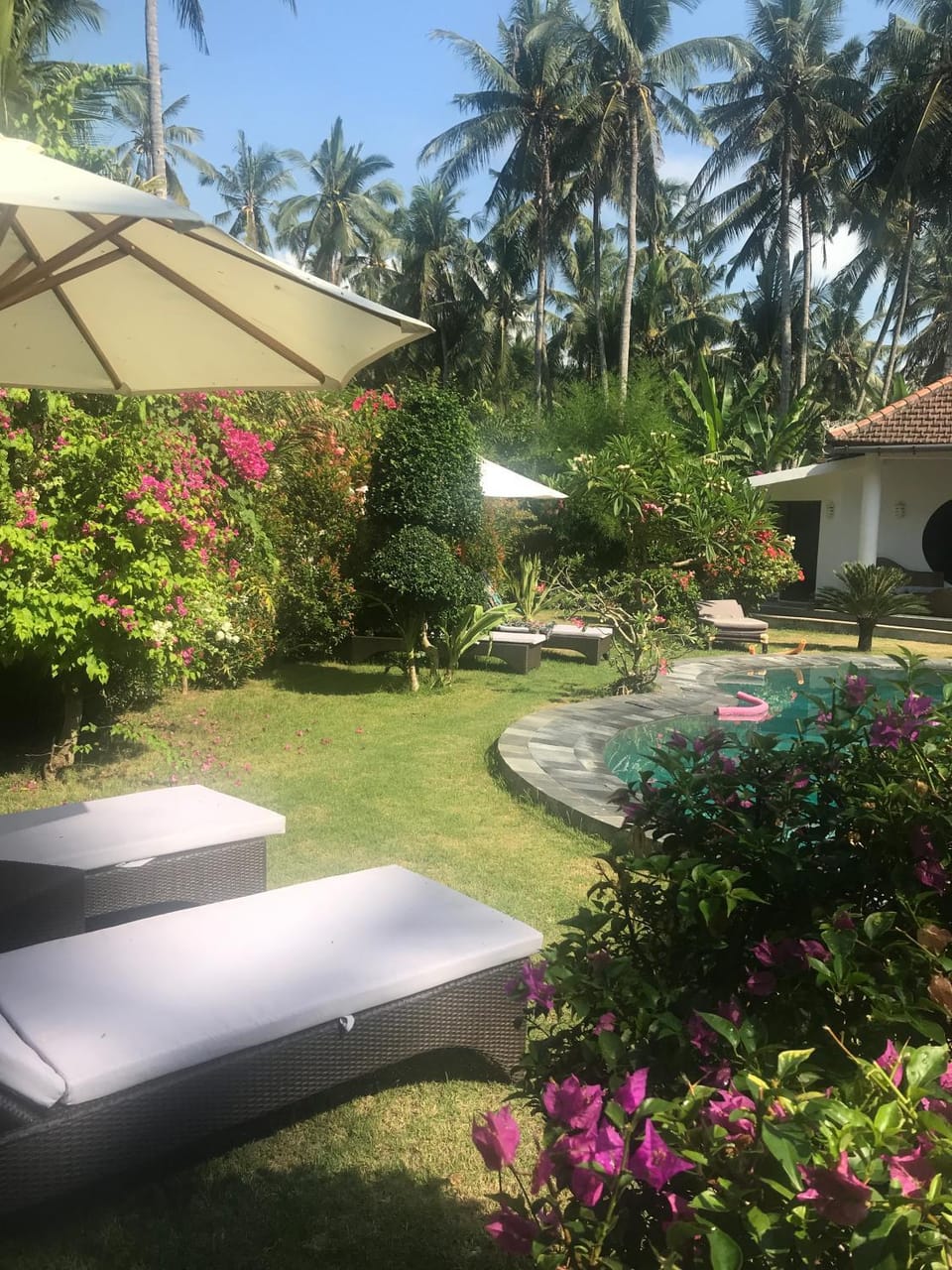 Garden view