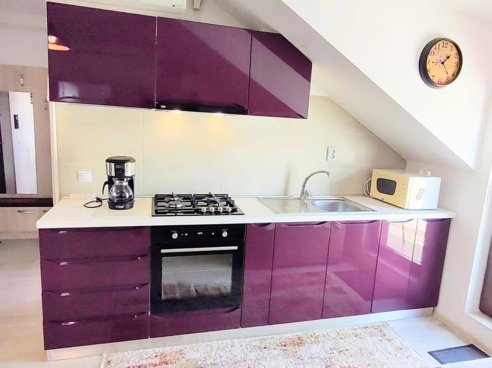 Coffee/tea facilities, minibar, oven, pet friendly, stove