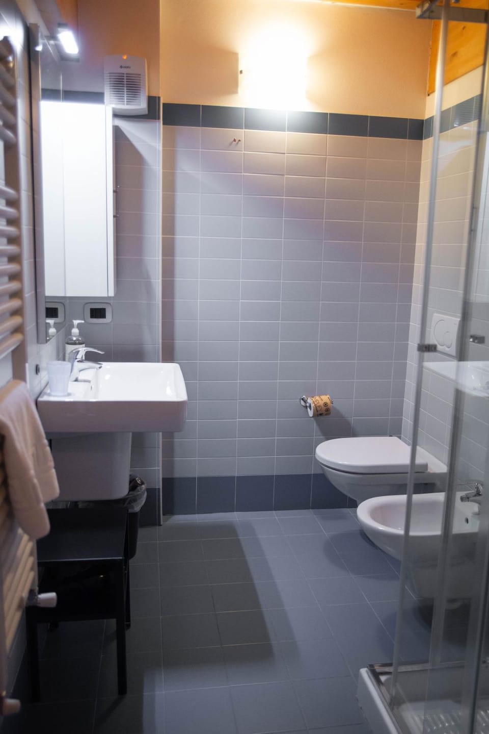 Shower, Toilet, Bathroom, bidet, fireplace