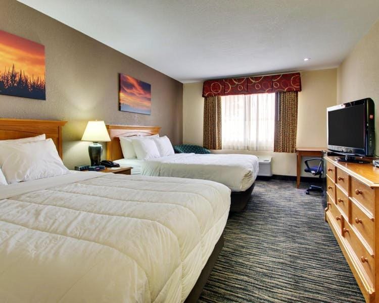 TV and multimedia, Photo of the whole room, Bedroom