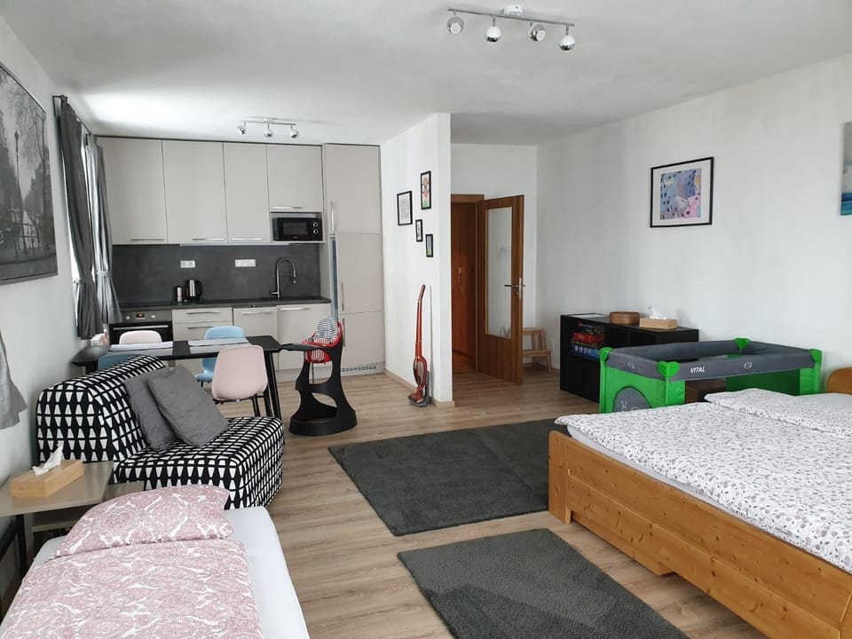 Sport Apartment Apartment in Lipno nad Vltavou