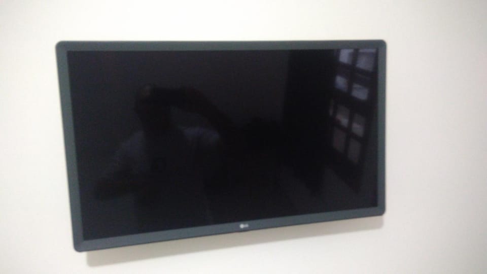 TV and multimedia, Diving
