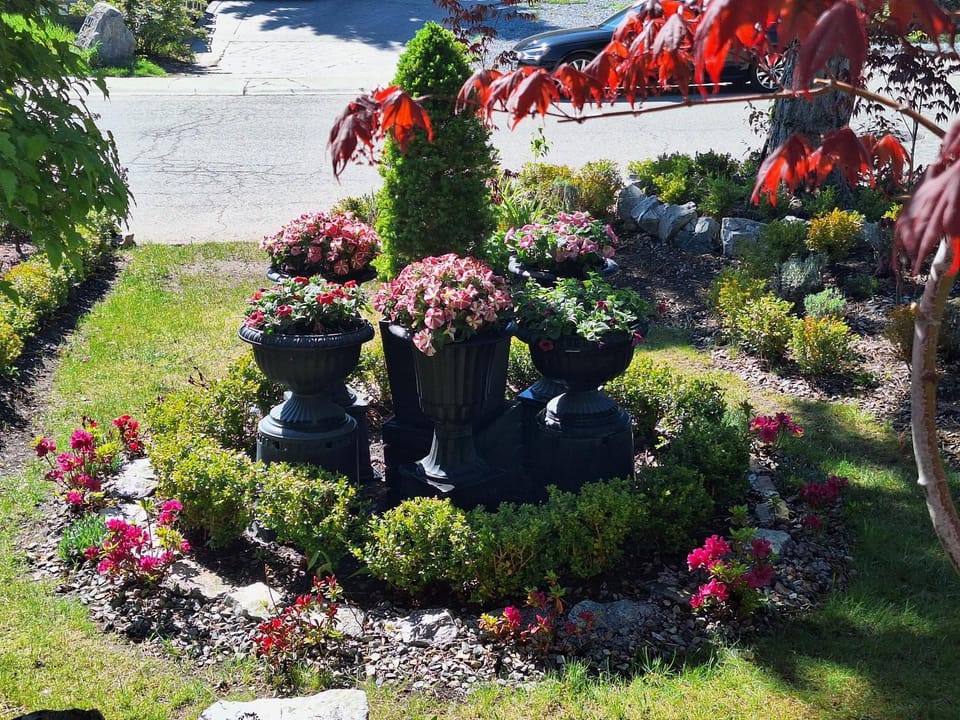 Garden, Garden view