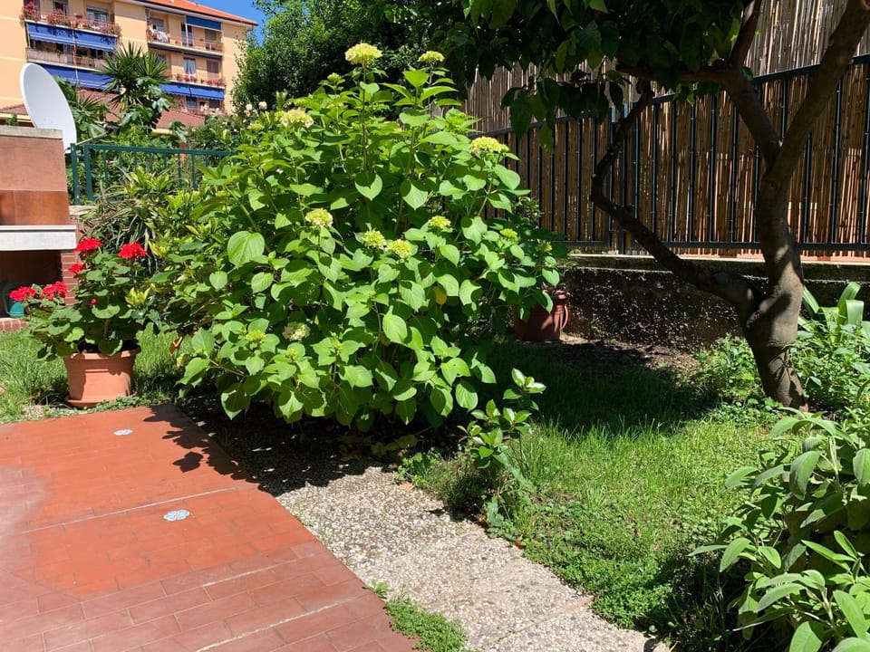 Il giardino dei limoni Apartment in Chiavari