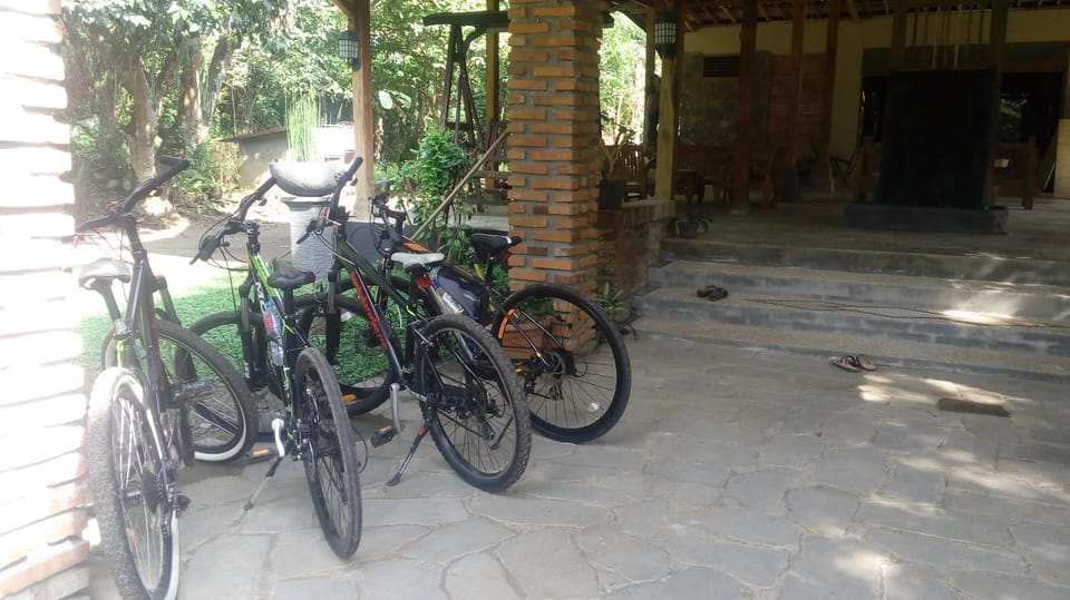 Cycling