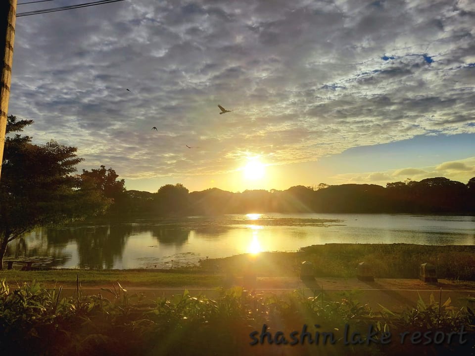 Shashin Lake Resort Bed and Breakfast in Dambulla