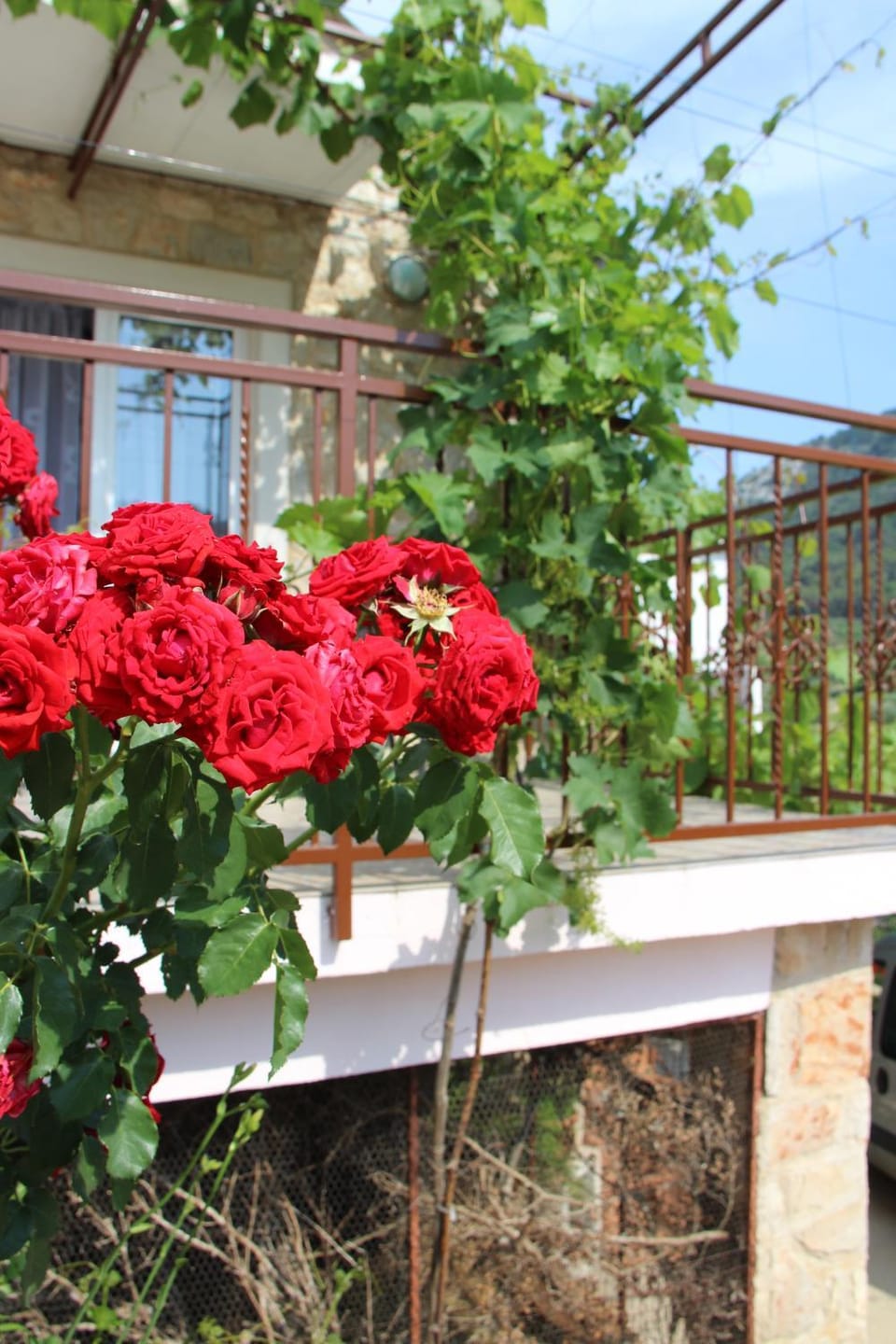 Apartmani Ivanković Apartment in Dubrovnik-Neretva County