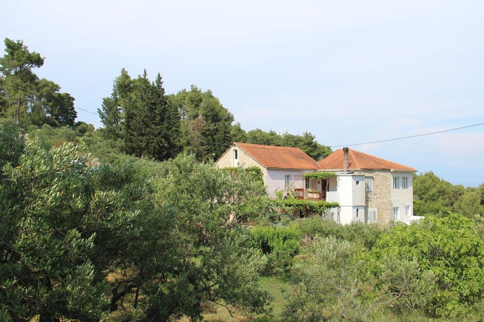 Apartmani Ivanković Apartment in Dubrovnik-Neretva County