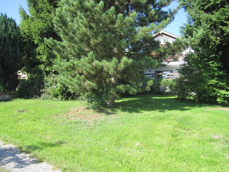 Garden, Animals