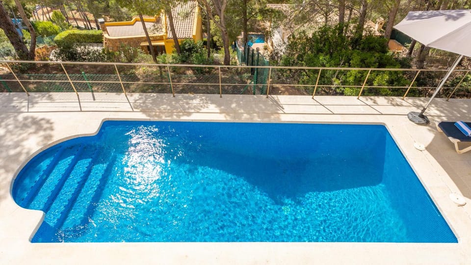 Day, Pool view, Swimming pool, sunbed