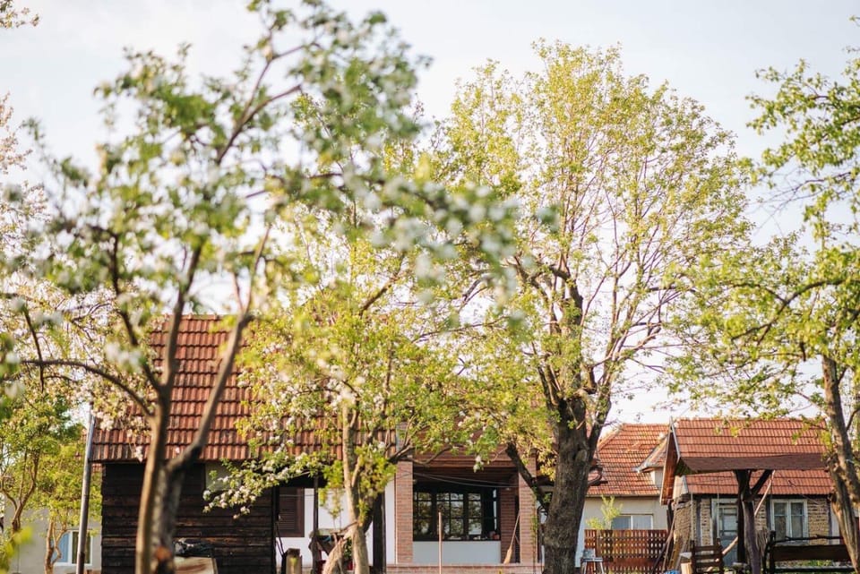La Saca 42 Bed and Breakfast in Romania