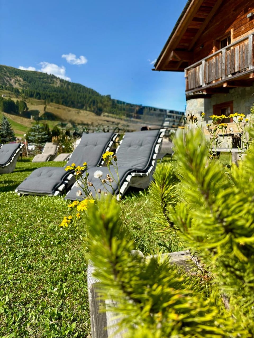 Garden, Solarium, sunbed