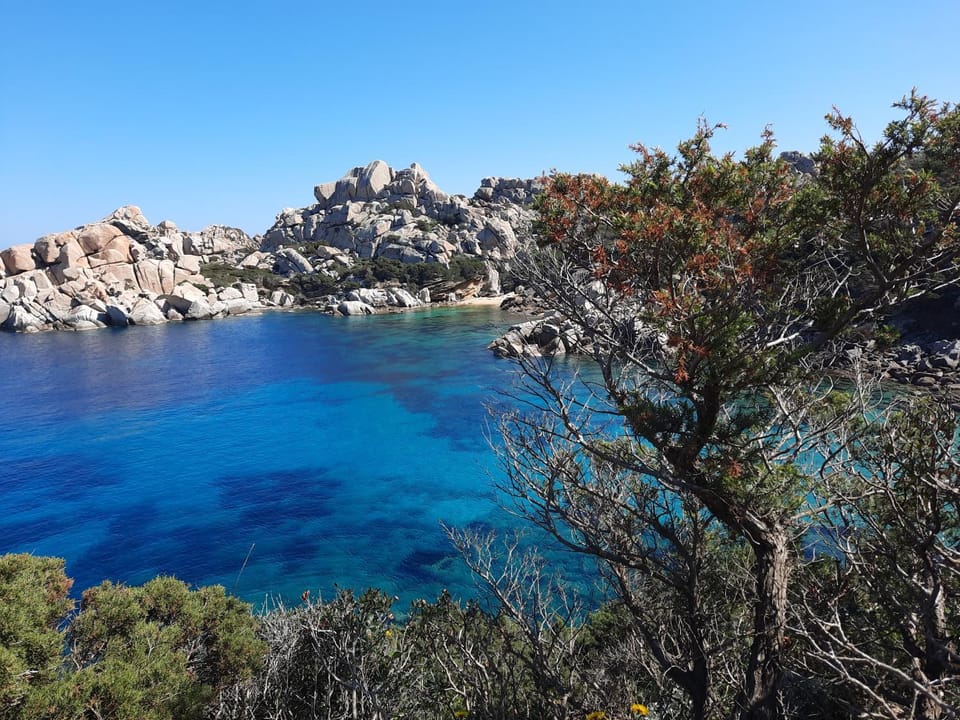 Natural landscape