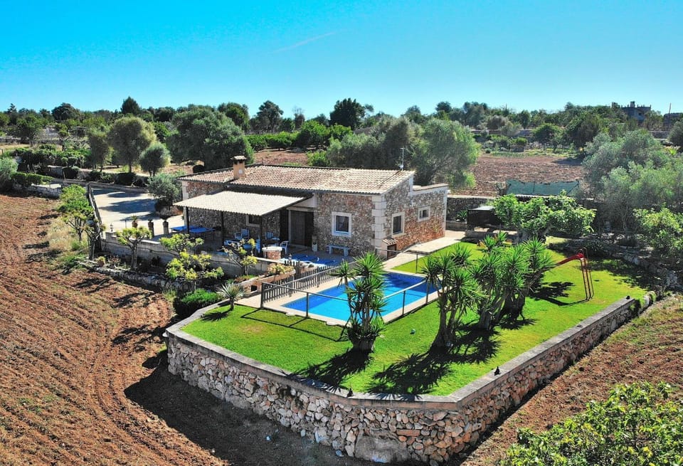Patio, Garden, Garden view