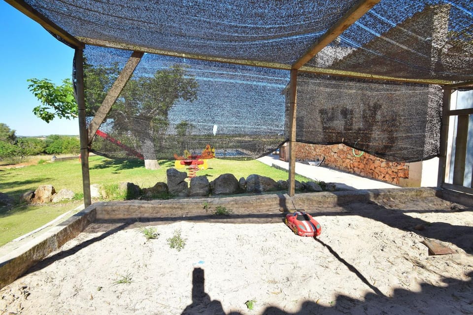 Patio, Garden, Garden view