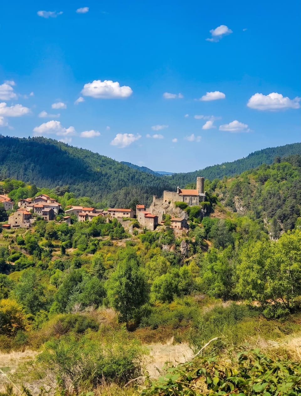 Maison charmante à Valprivas avec jardin privé. House in Auvergne-Rhône-Alpes