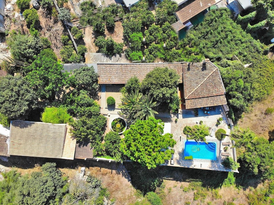 Patio, Garden, Garden view