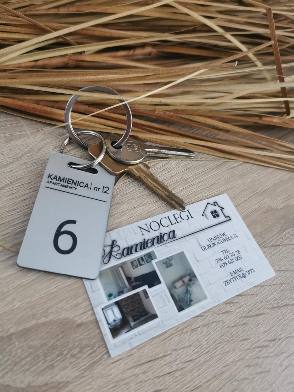 Kamienica Apartment in Greater Poland Voivodeship