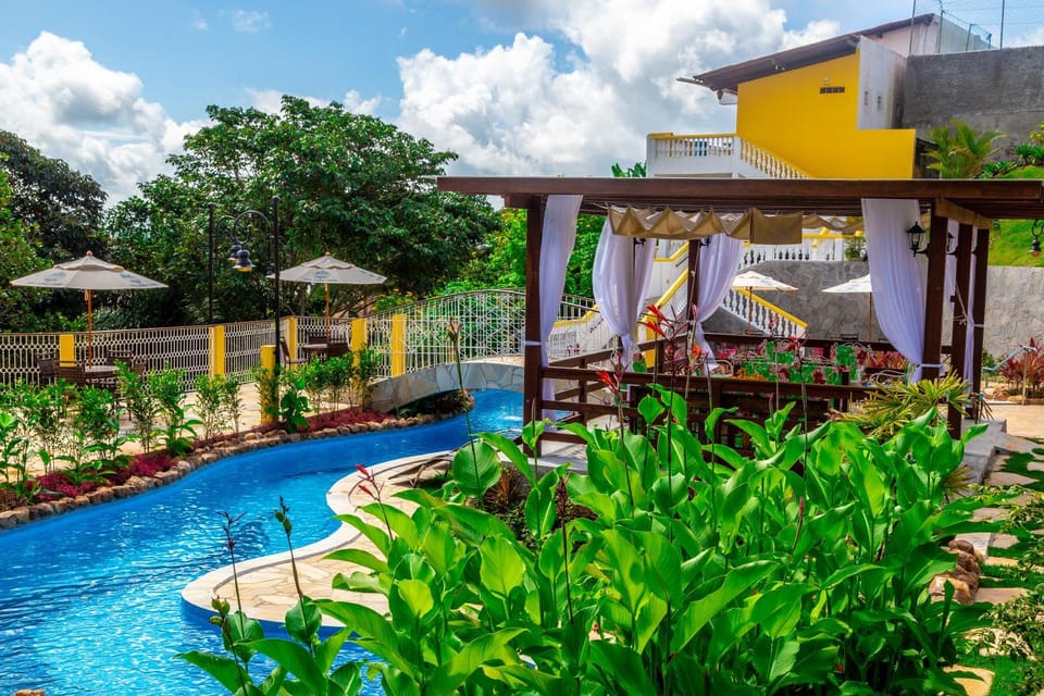 Summer, Garden, Pets, Swimming pool
